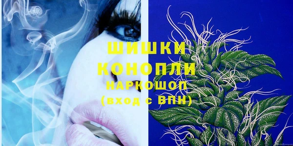 спайс Бородино