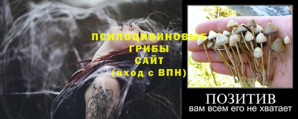 спайс Бородино